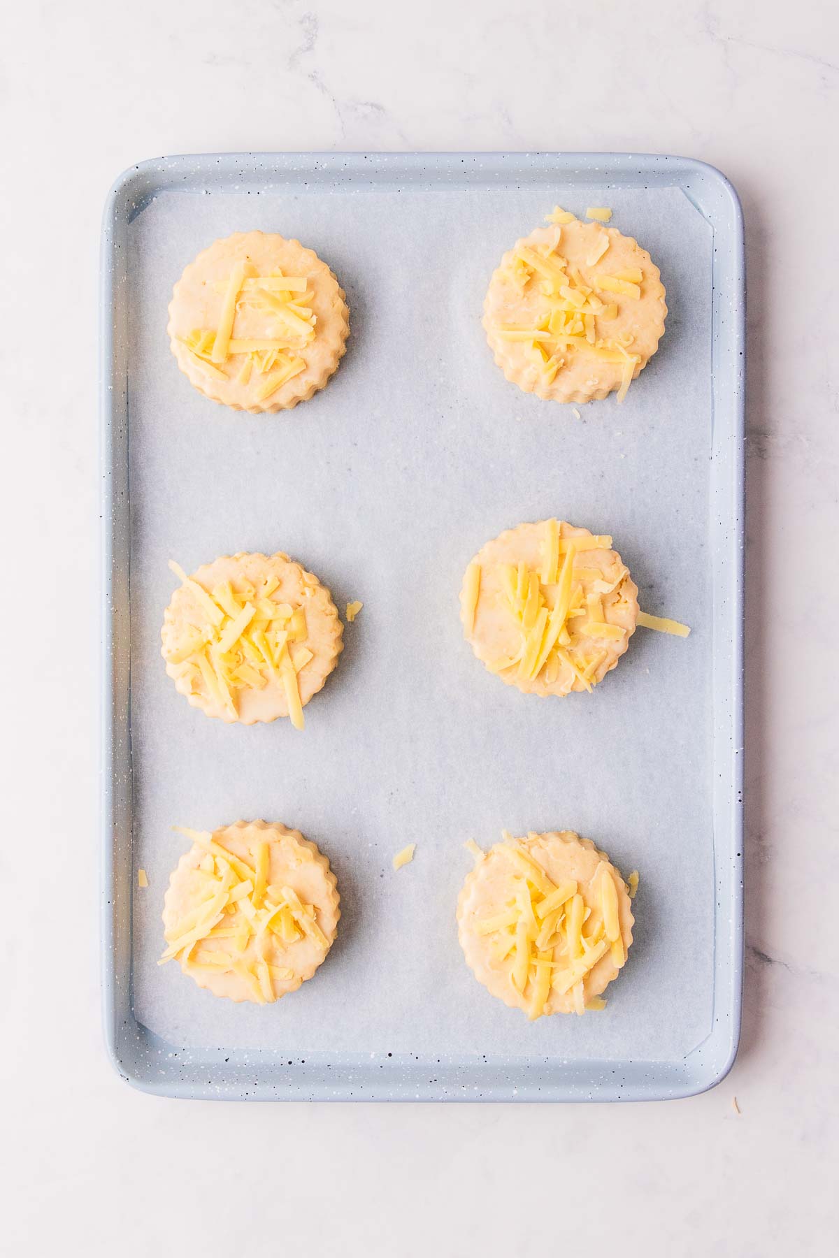 The scones cut out with a fluted round cutter, on a baking tray, the shapes have been bushed with egg wash and sprinkled with grated cheese.