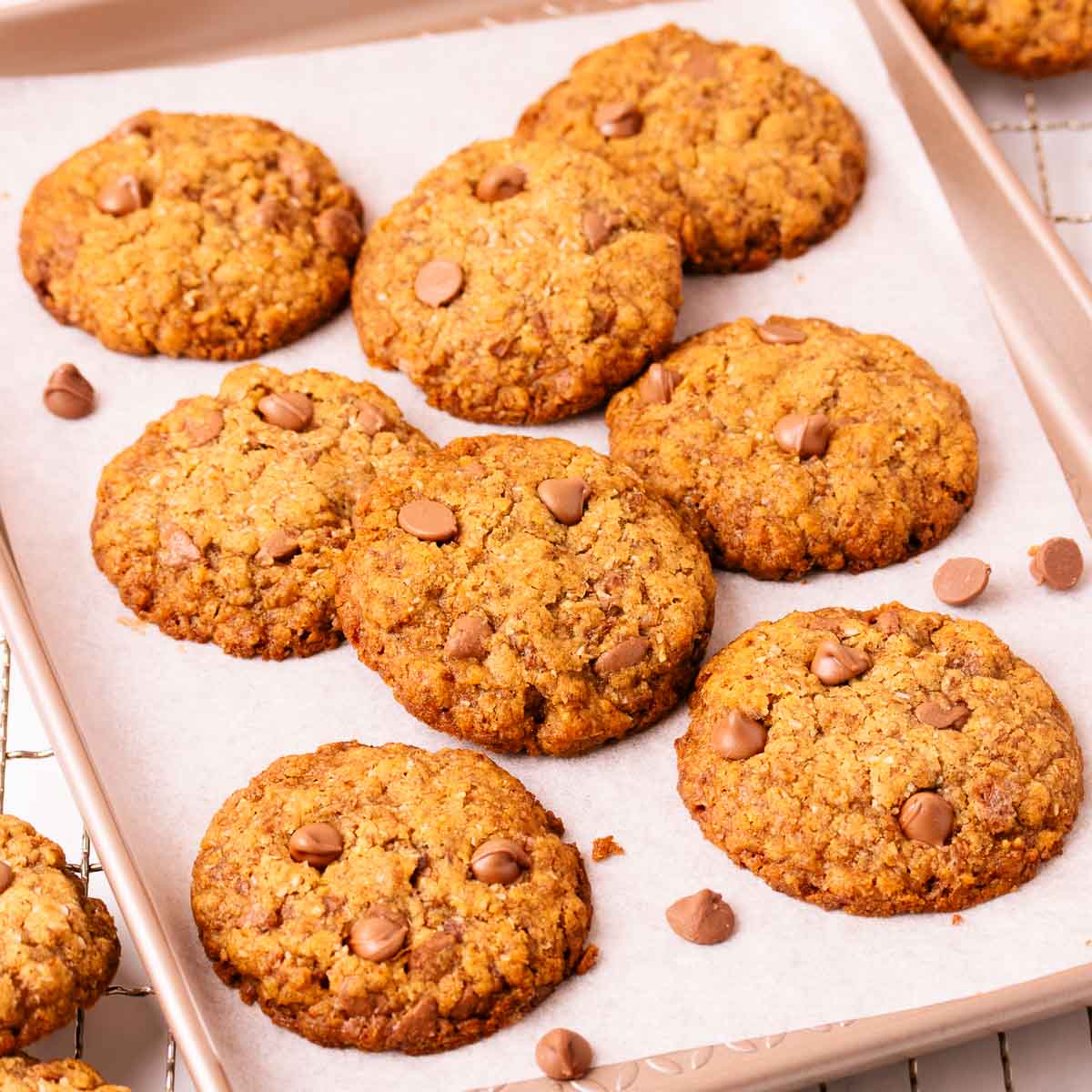 Gluten free Weet-bix biscuits on a small baking tray, with scattered crumbs and chocolate chips.